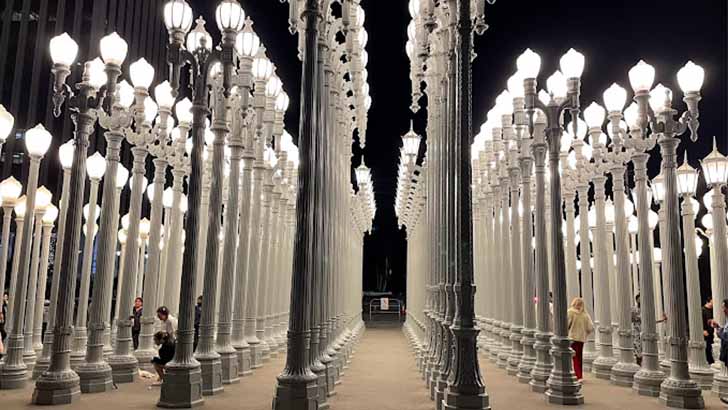 The Los Angeles County Museum of Art (LACMA)